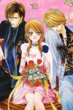 Watch Skip Beat Megavideo